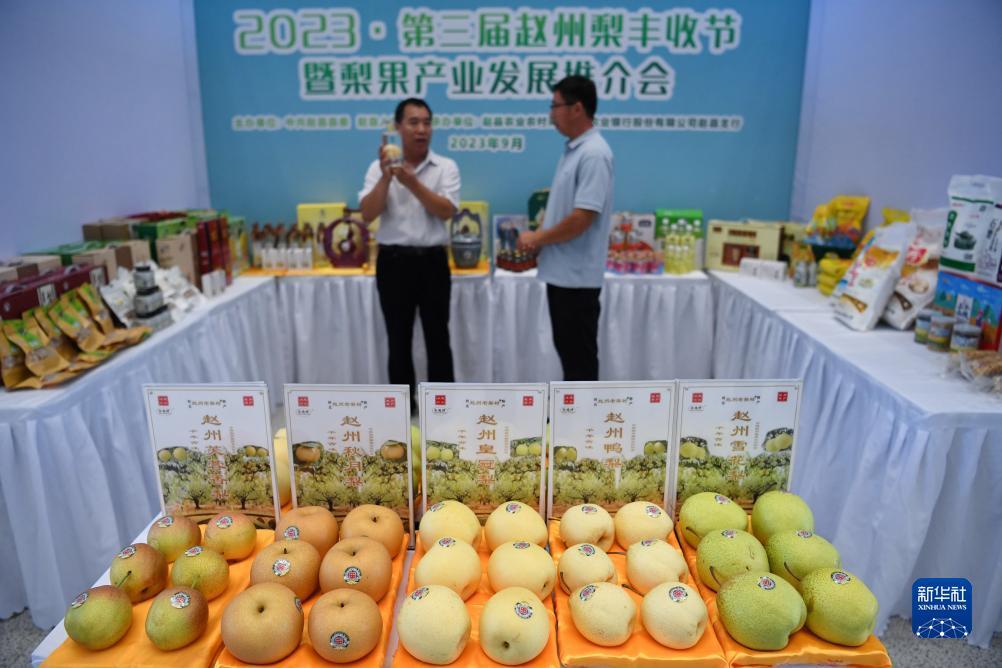 飞龙游戏破解版